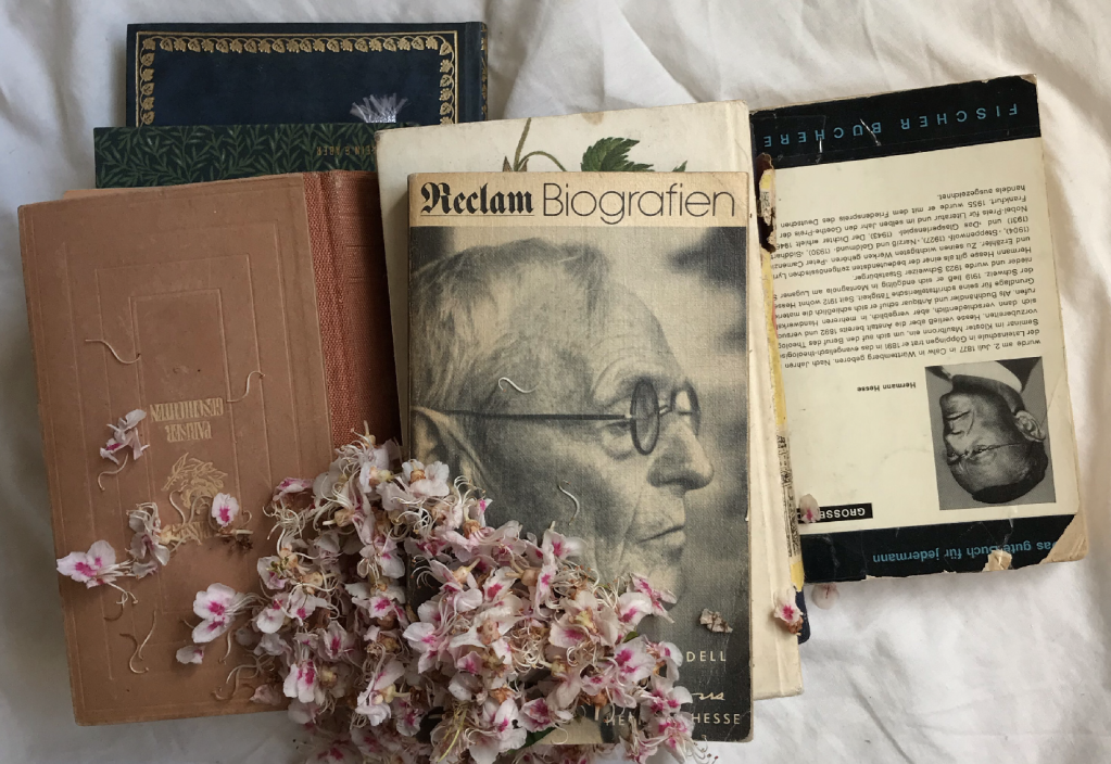 To find a real “Self” – reflections after re-reading Hesse’s “Siddhartha”｜ 尋找「真我」─ 再讀德國赫瑟《流浪者之歌》後有感